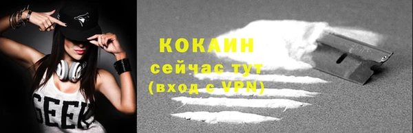 дживик Баксан
