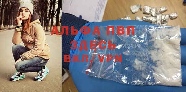 дживик Баксан