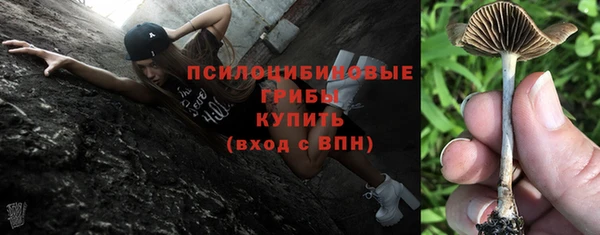 дживик Баксан
