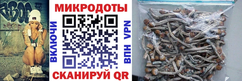 как найти наркотики  Вилючинск  shop как зайти  Галлюциногенные грибы Cubensis 